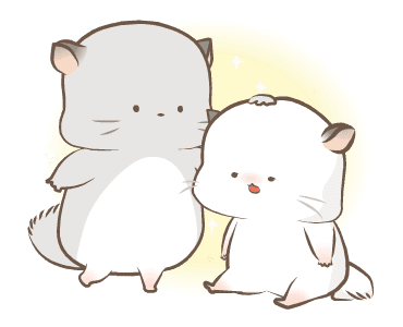 Simao & Bamao ชินชิลลานุ่มนิ่ม รูปที่ 3