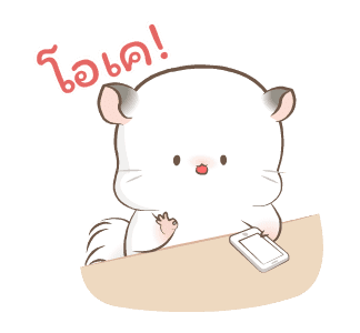 Simao & Bamao ชินชิลลานุ่มนิ่ม รูปที่ 5
