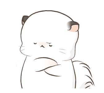 Simao & Bamao ชินชิลลานุ่มนิ่ม รูปที่ 16