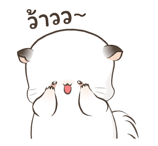 Simao & Bamao ชินชิลลานุ่มนิ่ม รูปที่ 23
