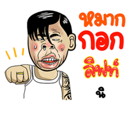 228551366