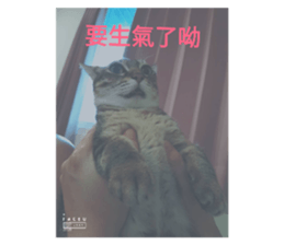 228553169
