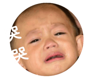228591364