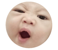 228591366