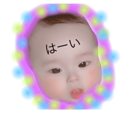 228871030