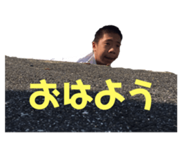 228882782