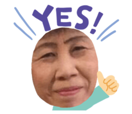 228893470
