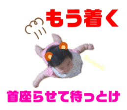 228893473