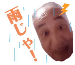 228893480