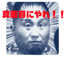 228893508
