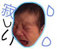 22913653