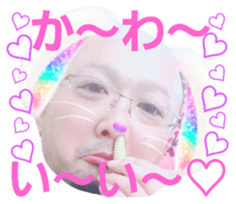 22914031