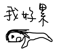 22922404
