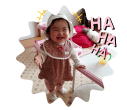 229361665