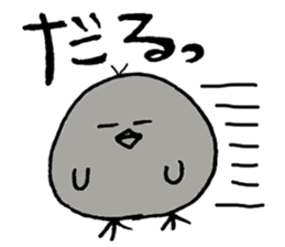 2294205