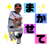 229437331