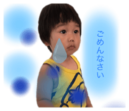 229455733