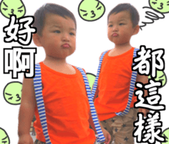 22953667
