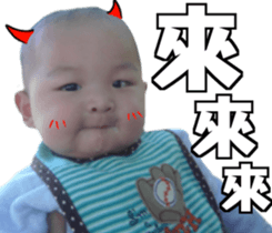 22953693