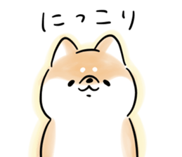 229581050