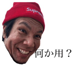 229581304