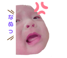229607752