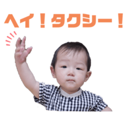 229627522