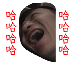 229661806