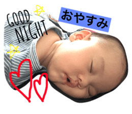 22966961