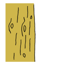 229715537