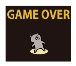 2298326