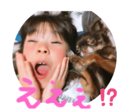 229904429