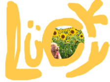 229919509