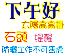229979513
