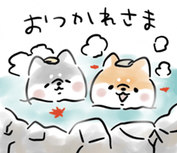 230009304