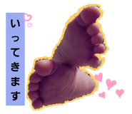 230036056