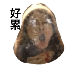 230051552