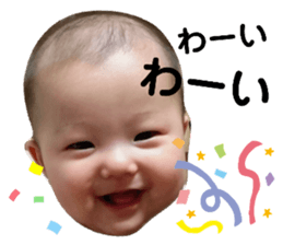 230080791