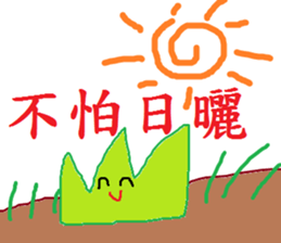 230090976