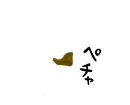 230113714