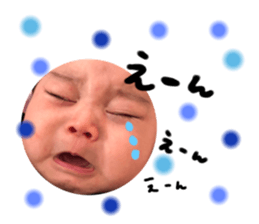 230122806
