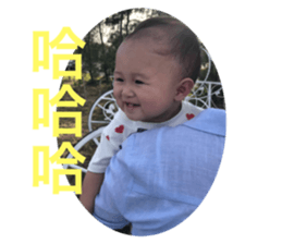 230166186