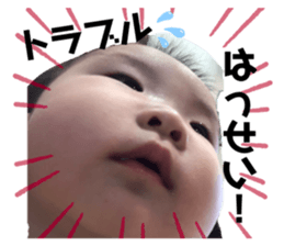 230190495