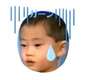 230266627