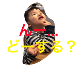 23027798