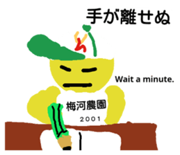 23032684