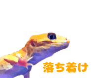 230351097