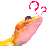 230351098