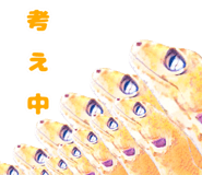 230351101