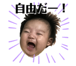 230430289